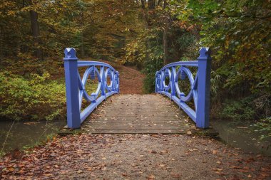 sonbahar manzara içinde köprü