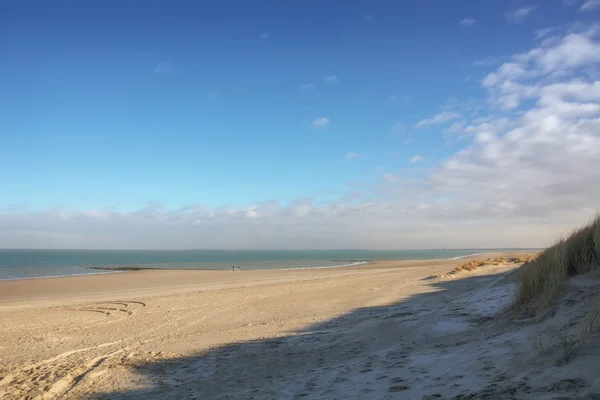 Zonnige ochtend. — Stockfoto