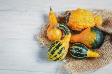 Dekoratif kabaklar kompozisyon