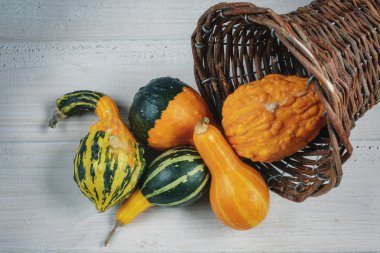 Dekoratif kabaklar kompozisyon