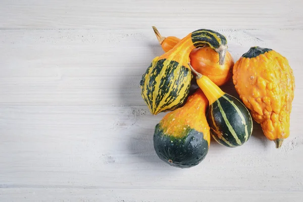 Calabazas decorativas en la composición — Foto de Stock