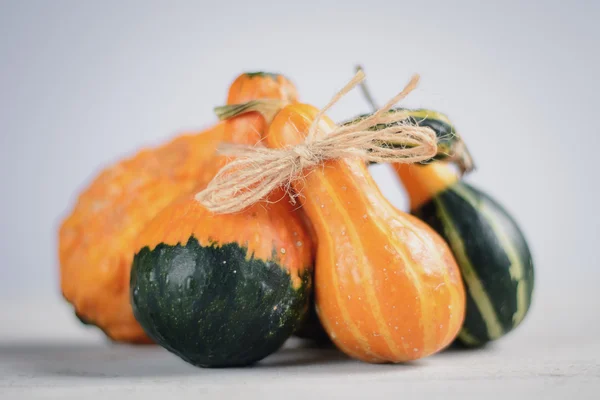 Calabazas decorativas en la composición — Foto de Stock