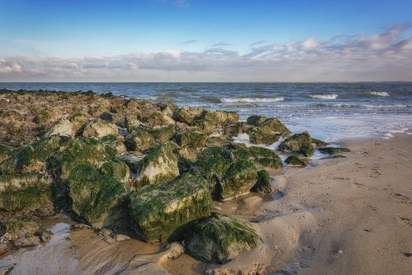 Камені, вирощені водоростями . — стокове фото