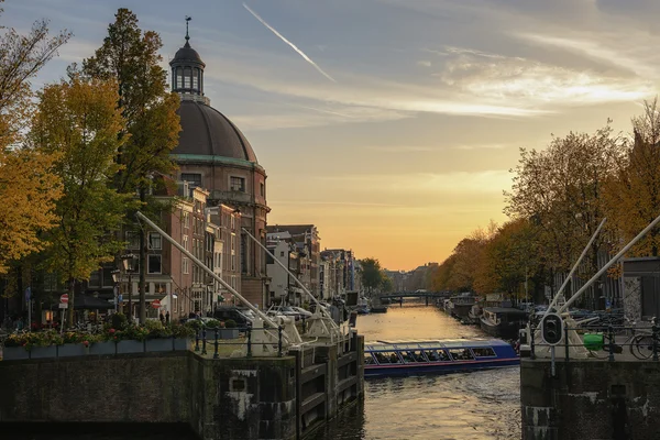 Gyllene höst, golden sunset. — Stockfoto