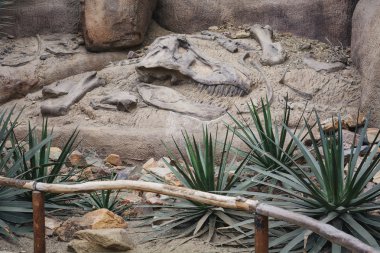 Het model van een dinosaurus in het zand