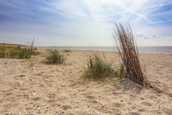 A homokos strand és a tenger. — Stock Fotó
