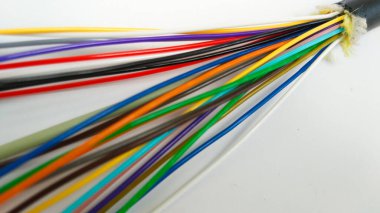 Doğal beyaz arka planda kullanılan fiber optik kablo. Kablolar ev internet bağlantıları için kullanılır