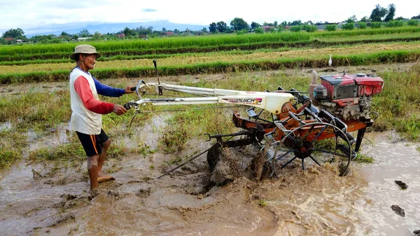 Petani Membajak Pagi Hari Dengan Traktor Disertai Dengan Derek Stok Gambar Bebas Royalti