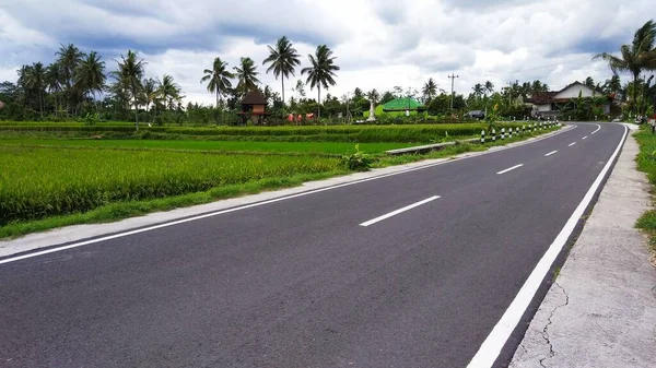 Sisi Jalan Beraspal Sawah — Stok Foto