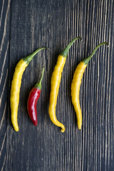 Chilischoten — Stockfoto