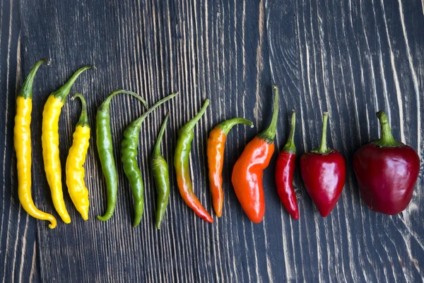 Chilli papričky — Stock fotografie