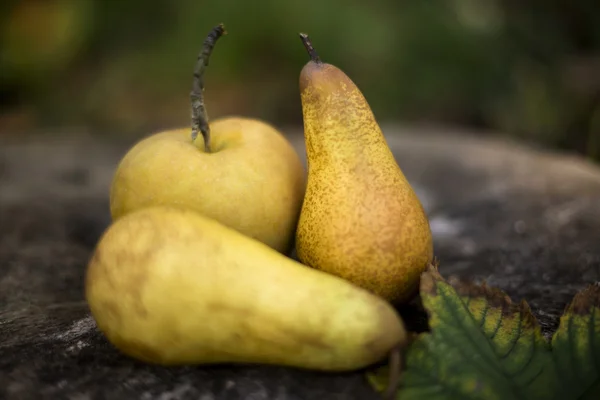 Яблоко и груша — стоковое фото