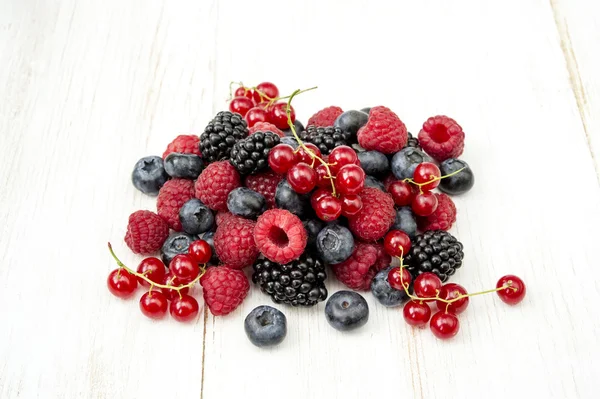 Freshly collecting wild berry fruits — Stock Photo, Image