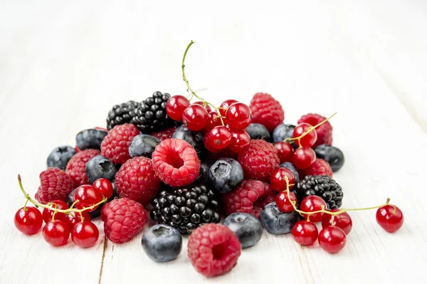 taze yaban berry meyve toplama