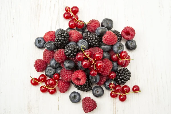 Freshly collecting wild berry fruits — Stock Photo, Image