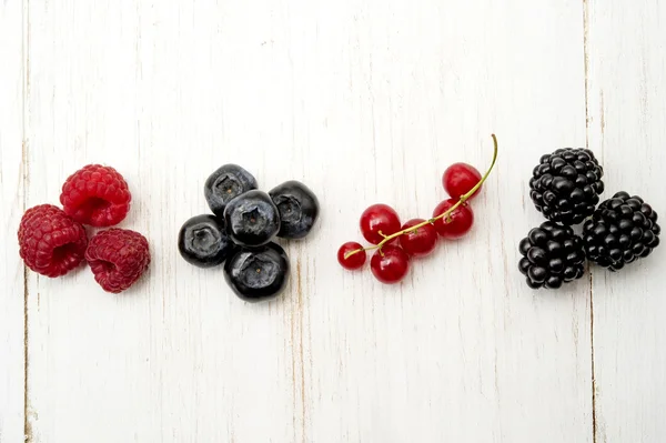 Freshly collecting wild berry fruits — Stock Photo, Image