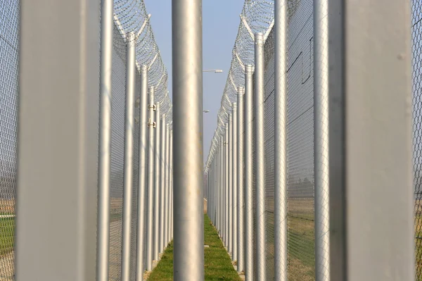 Barbed Wire Fence — Stock Photo, Image