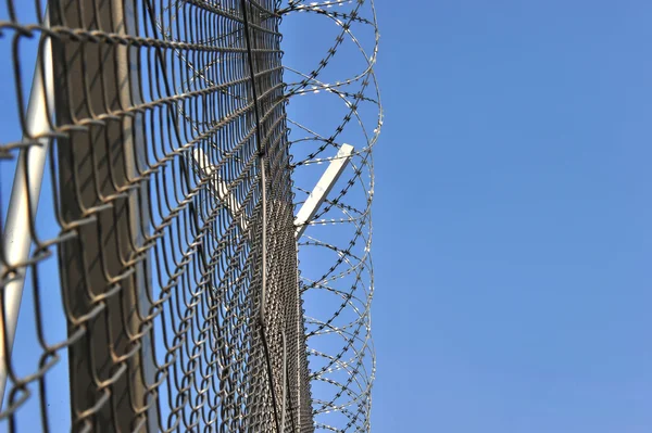 Barbed Wire Fence — Stock Photo, Image