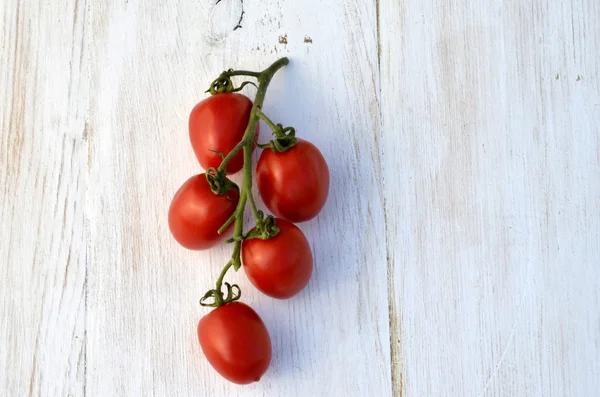 Tomater på vine — Stockfoto