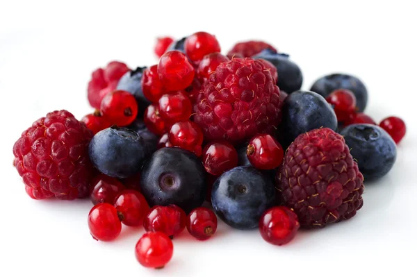 Freshly collecting wild berry fruits — Stock Photo, Image