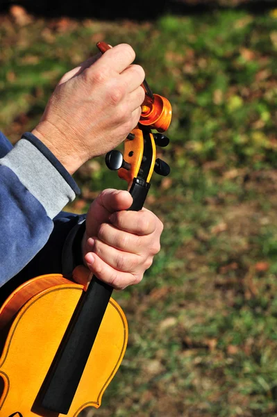 Diseñador de instrumentos —  Fotos de Stock