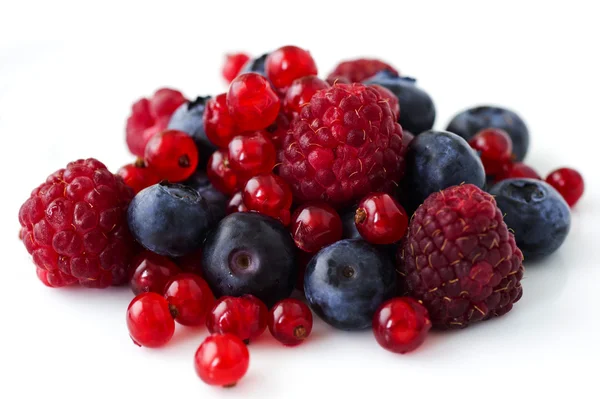 Frescamente coletando frutos silvestres — Fotografia de Stock