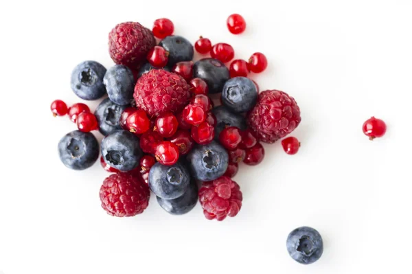 Freshly collecting wild berry fruits — Stock Photo, Image