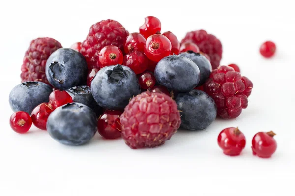 Freshly collecting wild berry fruits — Stock Photo, Image