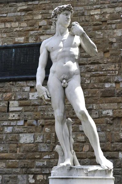 Michelangelo'nun David heykeli