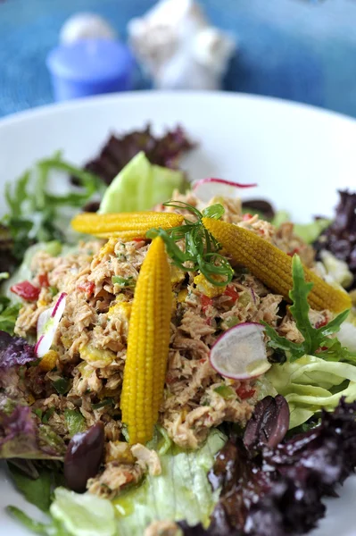 Salada de atum — Fotografia de Stock