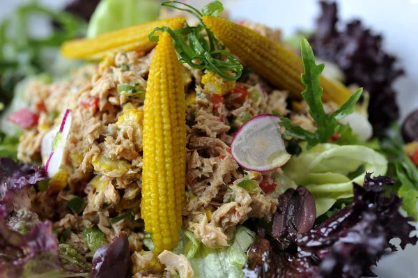 Ton balıklı salata — Stok fotoğraf