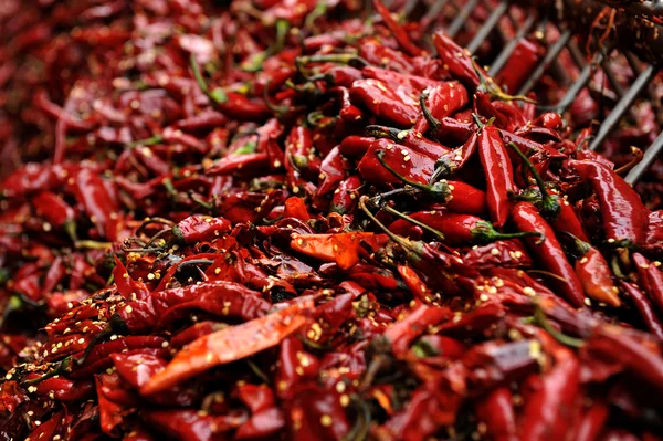 Chili pepper — Stock Photo, Image