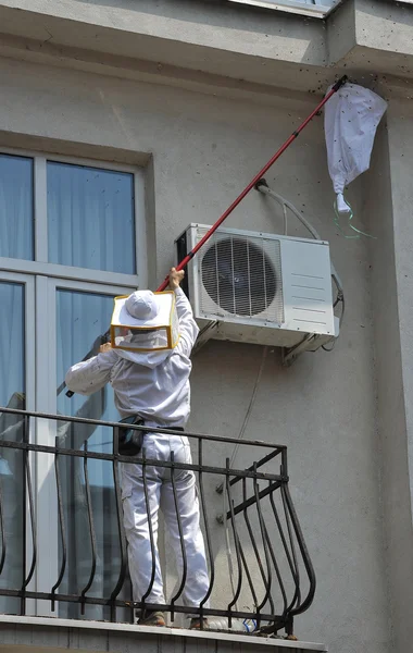 Arılar yuva kaldırma