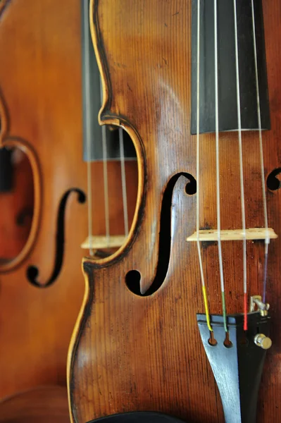 Violino — Fotografia de Stock