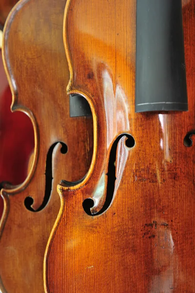 Violino — Fotografia de Stock