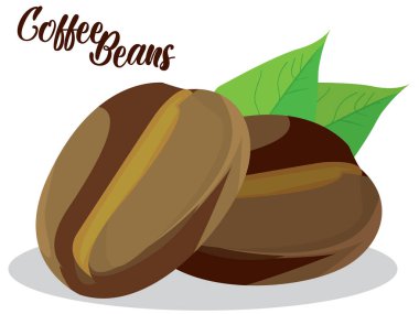 Beyaz arka planda yaprakları olan iki taze kavrulmuş kahve çekirdeği..