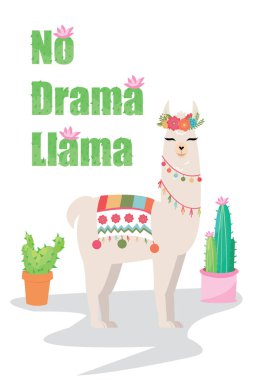 Kaktüs çiçekli drama lama yok.