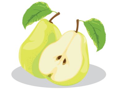 İzole armutlar. Beyaz arka planda bir buçuk yeşil armut meyvesi..