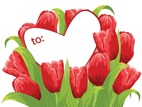 Krásné Červené Tulipány Bílém Pozadí Prostorem Pro Text Pohled Shora — Stockový vektor