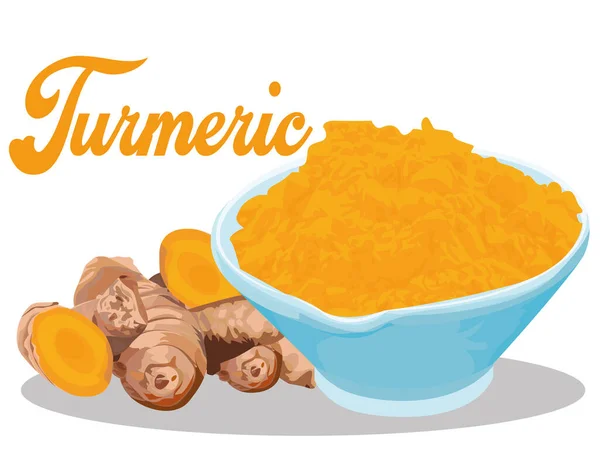 Kurkuma Poeder Kurkuma Ingrediëntenkruid — Stockvector