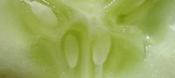 Closeup Macro Cucumber Green Color White Background Copy Space — Stock Photo, Image