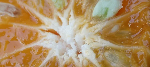 Πορτοκαλί Απομόνωση Λευκό Φόντο Επιλεκτική Εστίαση Ολόκληρο Πορτοκάλι Και Φέτα — Φωτογραφία Αρχείου