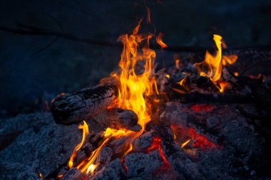 Ormandaki şöminenin yakınında. 