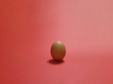 Pembe arka planda beyaz bir yumurtaya yaklaş.