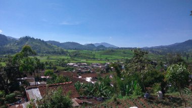 Malabar çay çiftliği, Malabar çay çiftliği Pangalengan bölgesinde, Batı Java, Endonezya