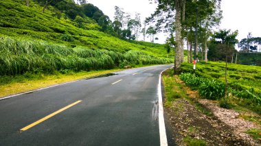 Rancabali çay çiftliği, Rancabali çay çiftliği Batı Cava, Endonezya 'da yer almaktadır.