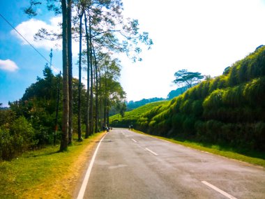 Rancabali çay çiftliği, Rancabali çay çiftliği Batı Cava, Endonezya 'da yer almaktadır.