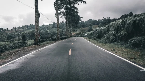 Rancabali Tea Plantation Rancabali Tea Plantation Located Ciwidey Area West — Stock Photo, Image