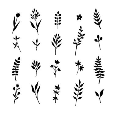 Yeşil yapraklar, bitkiler ve dallardan oluşan el yapımı çizimler. Botanik bölümü. Çiçek tasarım elementleri. Düğün davetiyeleri, tebrik kartları, posterler ve daha fazlası için mükemmel..