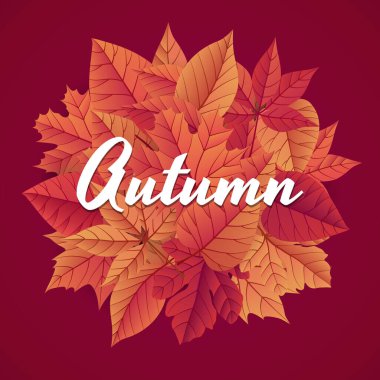 Yazılı sonbahar modern arkaplan şablonu. Parlak sonbahar yaprakları tasarımı. Poster, kart, etiket, pankart tasarımı. Sosyal medya paylaşımı için ideal. Parlak doğal altyapı. Vektör illüstrasyonu.